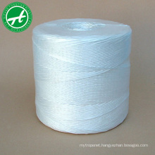 Agriculture Hay polypropylene baler twine